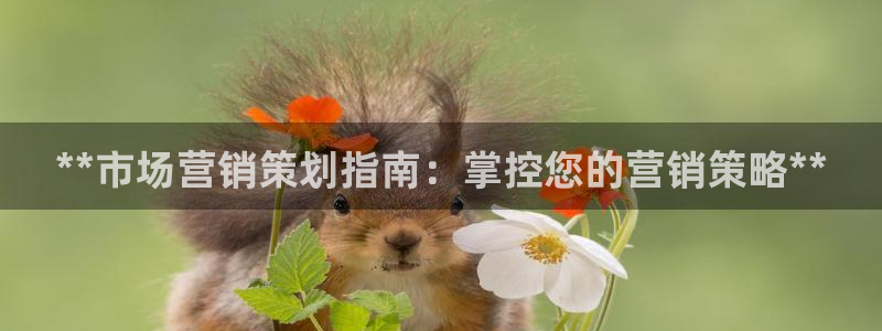 必赢官网app下载苹果版