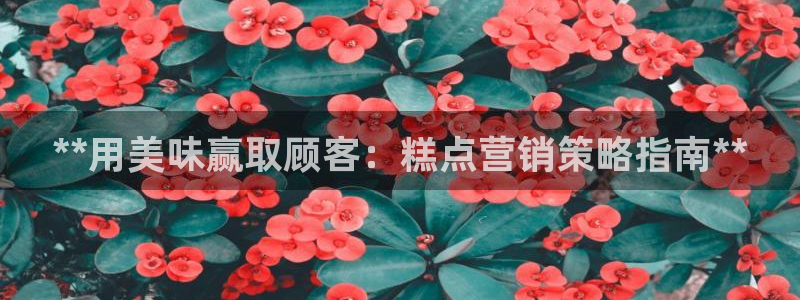 必赢集团怎么样