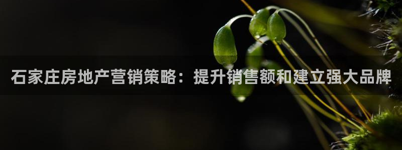 必赢app客户端下载
