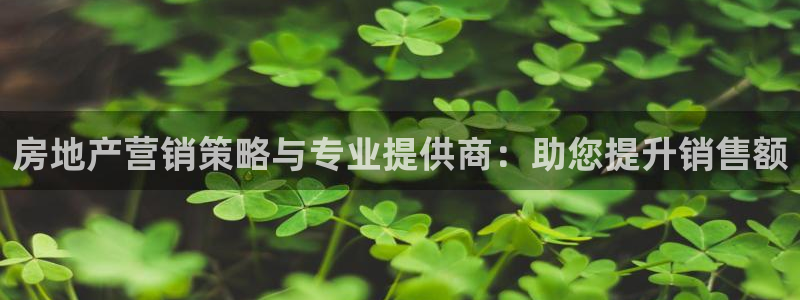 必赢手机app下载最新版安卓苹果可以用吗