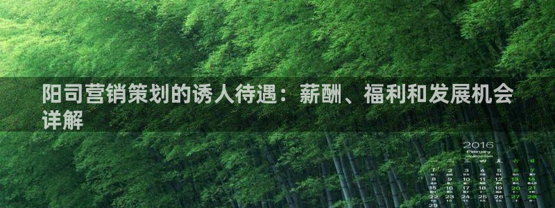 必赢72882网址