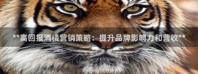 必赢是真的吗
