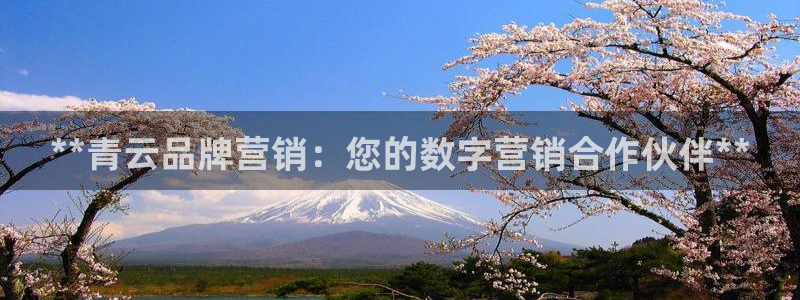 必赢官网入口下载安装手机版