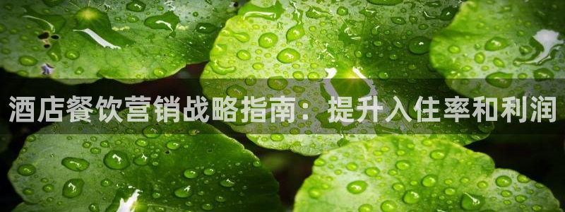 必赢国际437网页版