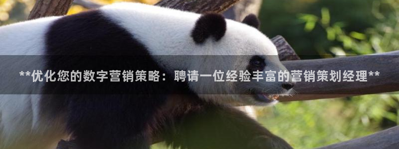 必赢官网app下载安装最新版苹果