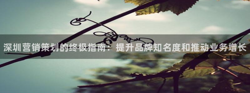 必赢网址官网