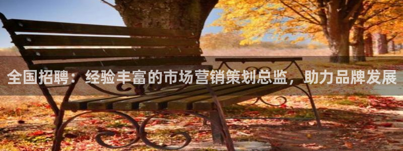 必赢必赢