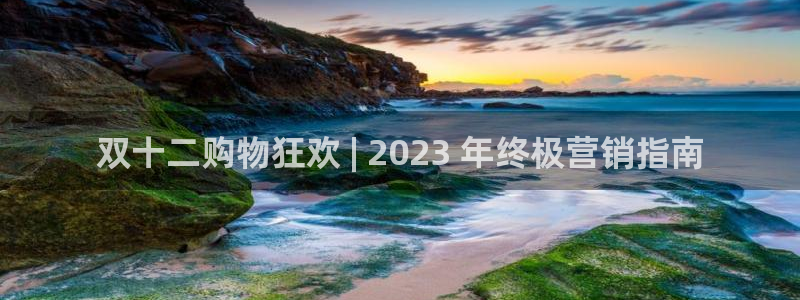 必赢国际437app下载