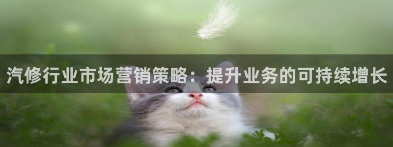 必赢集团怎么样