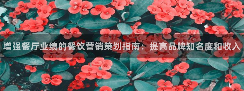 必赢必赢