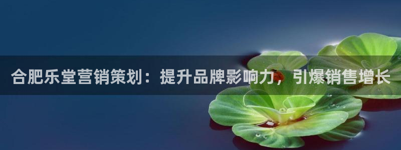 必赢亚赢网站官网下载手机版安卓
