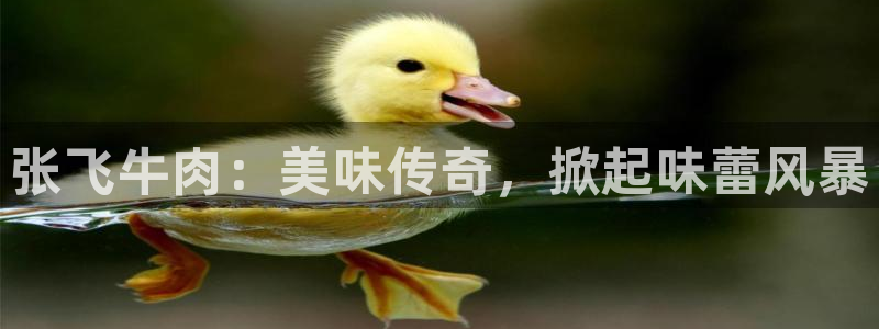 必赢官网网站首页下载