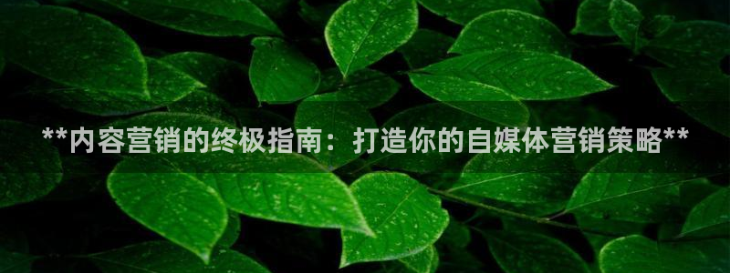 必赢官网网站