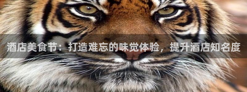 必赢国际437a