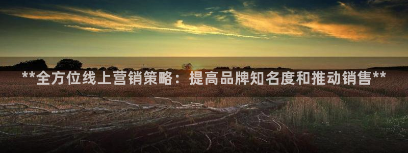 必赢科技北京有限公司