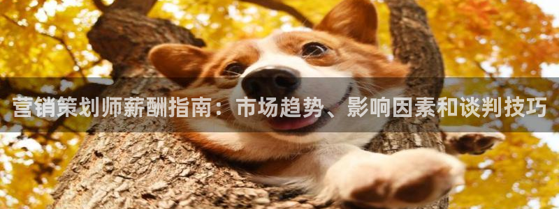 必赢亚赢网站官网下载安装最新版