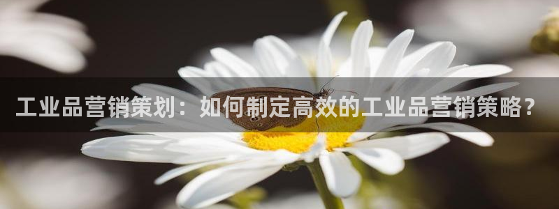 437437必赢国际怎么充不了钱