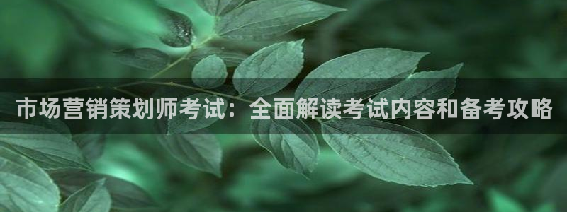 必赢国际437