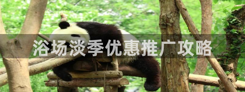 必赢公司是怎样的一家企业