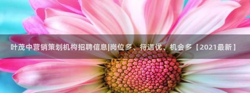 必赢官网入口下载安装