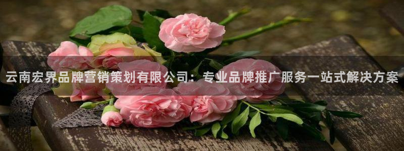 必赢集团网站