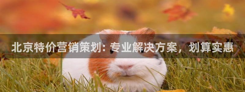 必赢国际437pay,comapp