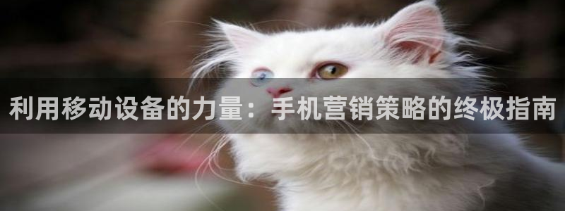 必赢手机app下载最新版本安装
