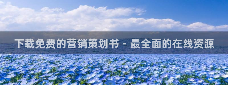必赢公司是怎样的一家企业