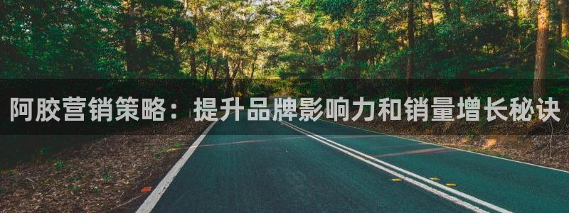 9965必赢游戏版本