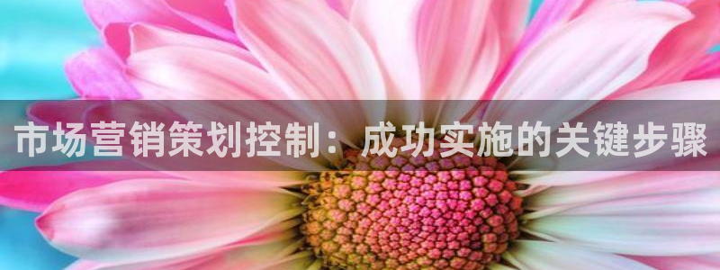必赢亚赢网站官网下载安卓版