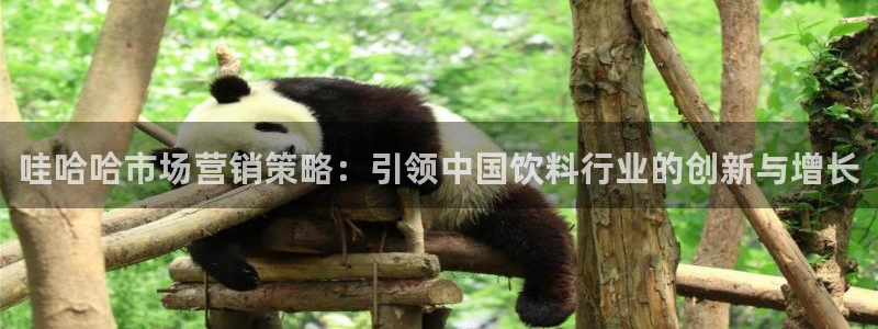 必赢图片