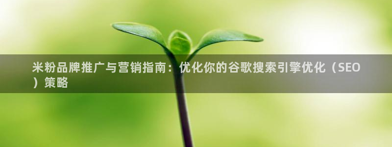 必赢平台怎么样