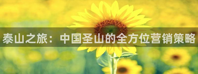 必赢网站mg冰球突破豪华版