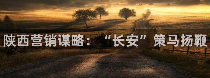 必赢平台官方客服电话