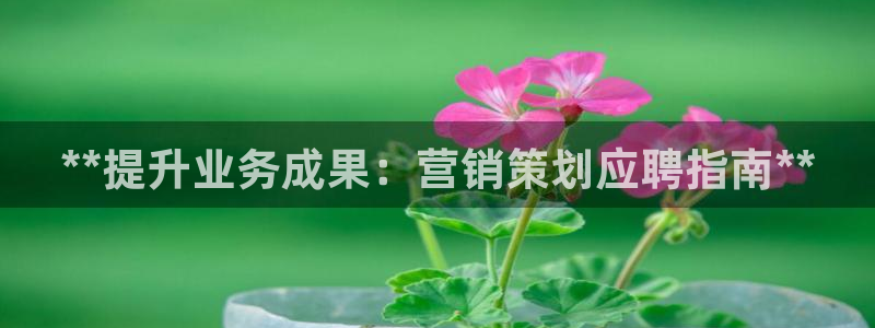 必赢手机app下载 最新版安装