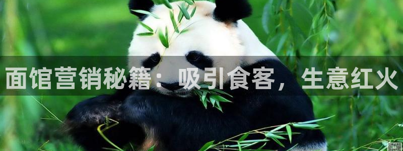 必赢官网网站首页入口