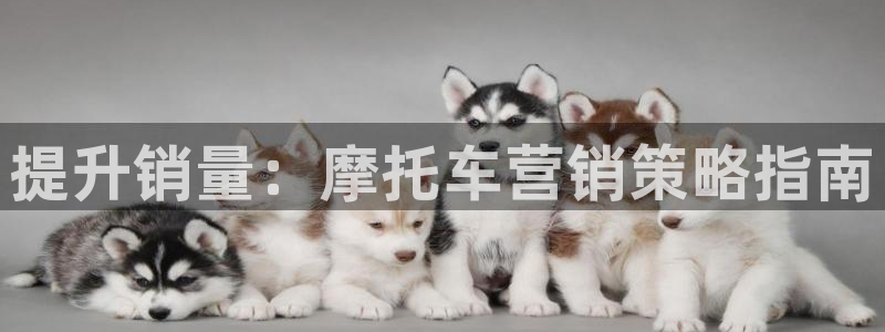 必赢手机app下载官网