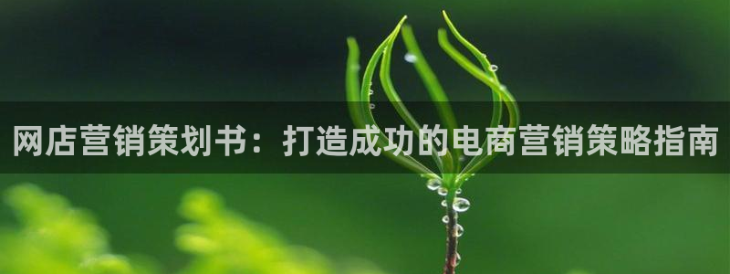 必赢最新网页
