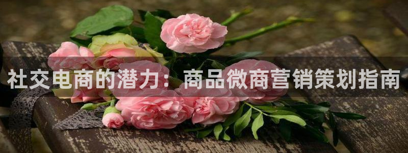必赢抢红包网址
