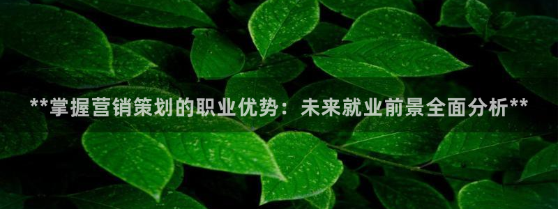 56.nt必赢官网