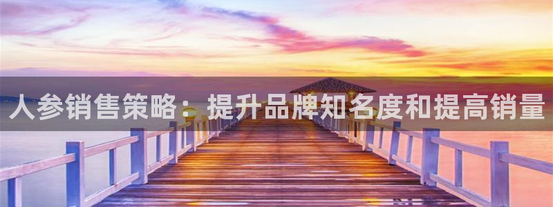 必赢手机app下载官网