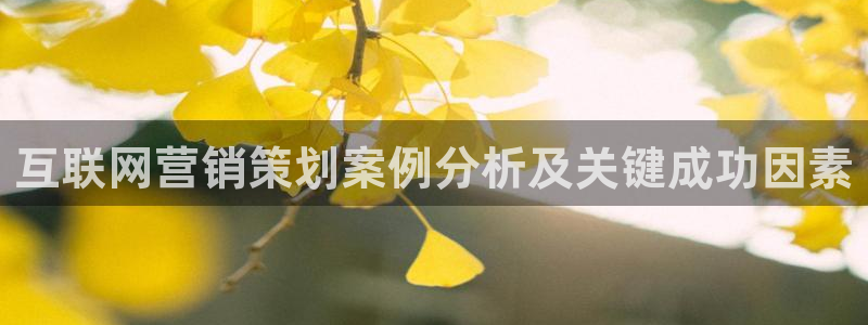 必赢国际游戏技巧