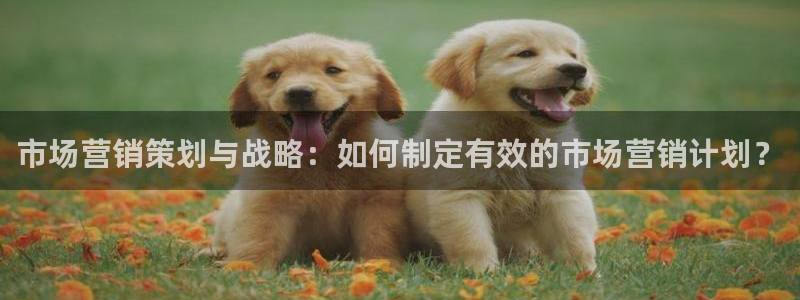必赢棋盘app下载官网