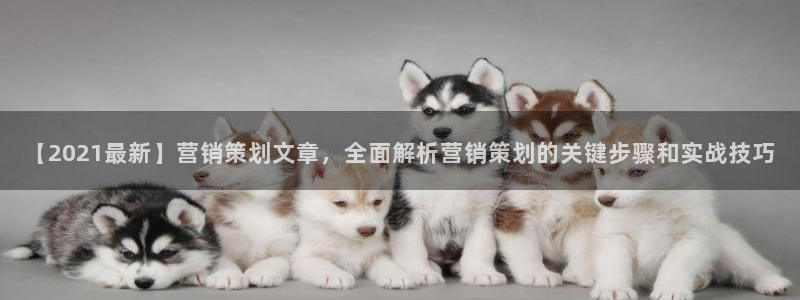 必赢网站mg冰球突破豪华版