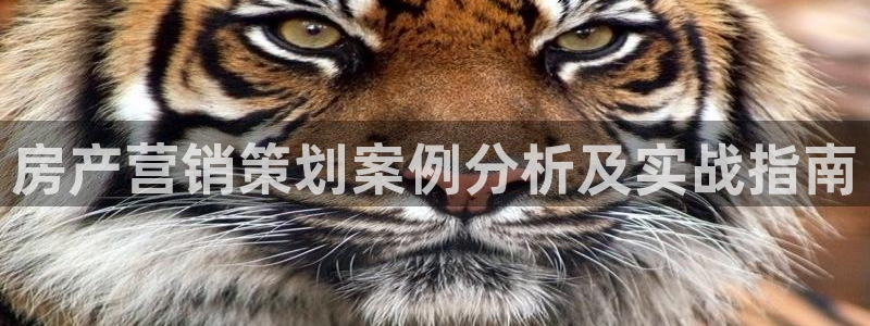 必赢宝app软件下载