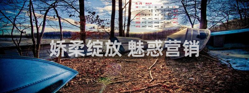 必赢国际437网页版