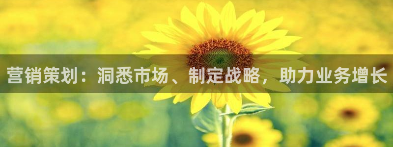 必赢72886网址多少啊