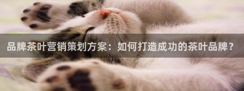 必赢手机app下载 最新版本