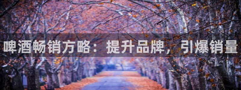 必赢最新
