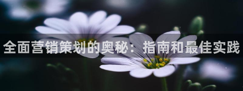 必赢棋脾